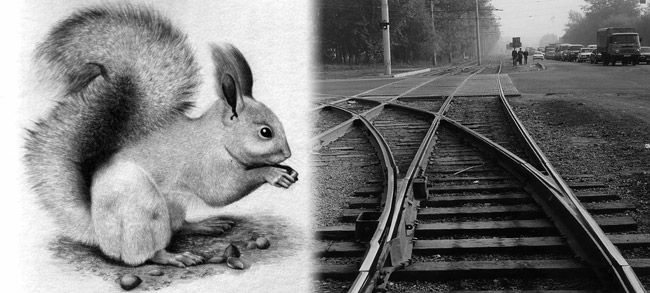 КП 91